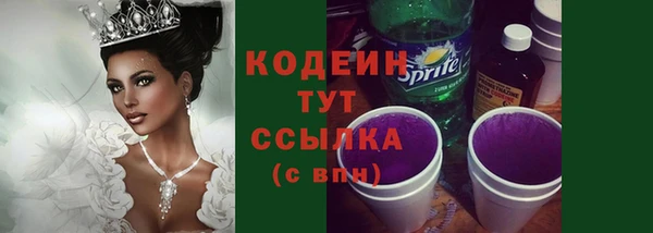 МДПВ Верхний Тагил