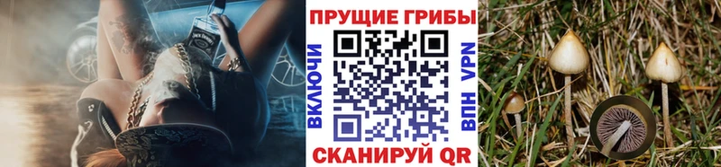 Галлюциногенные грибы мухоморы Кинель